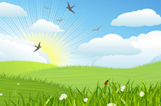 E-commerce Website